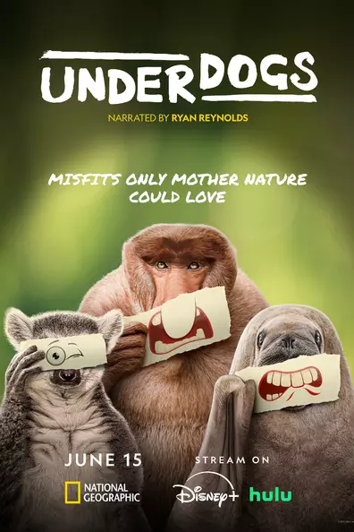 Аутсайдеры